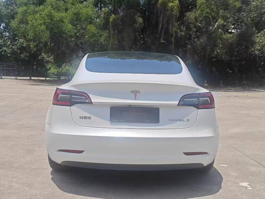 Tesla Model 3 2020 car image #11