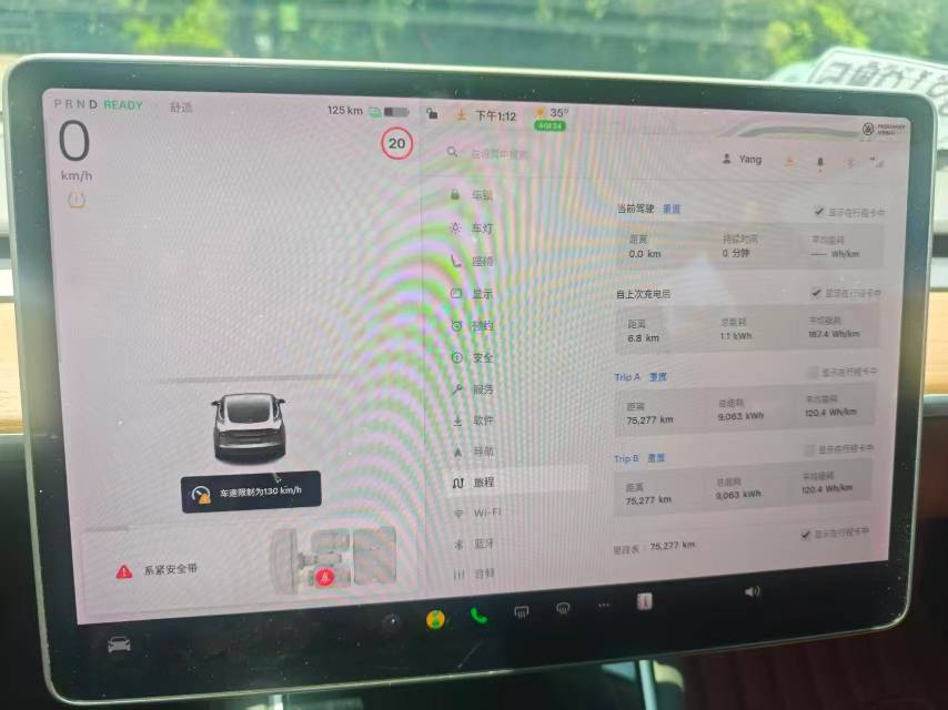 Tesla Model 3 2020 car image #5