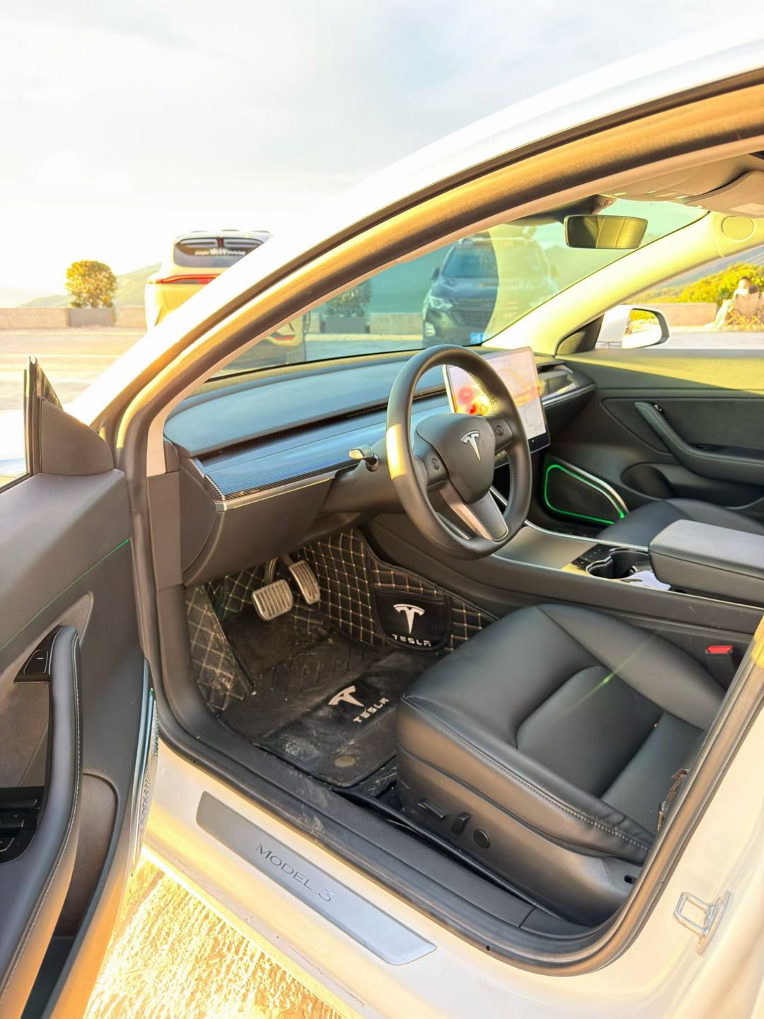 Tesla Model 3 2020 #7 Tesla Model 3 2020 car image #7