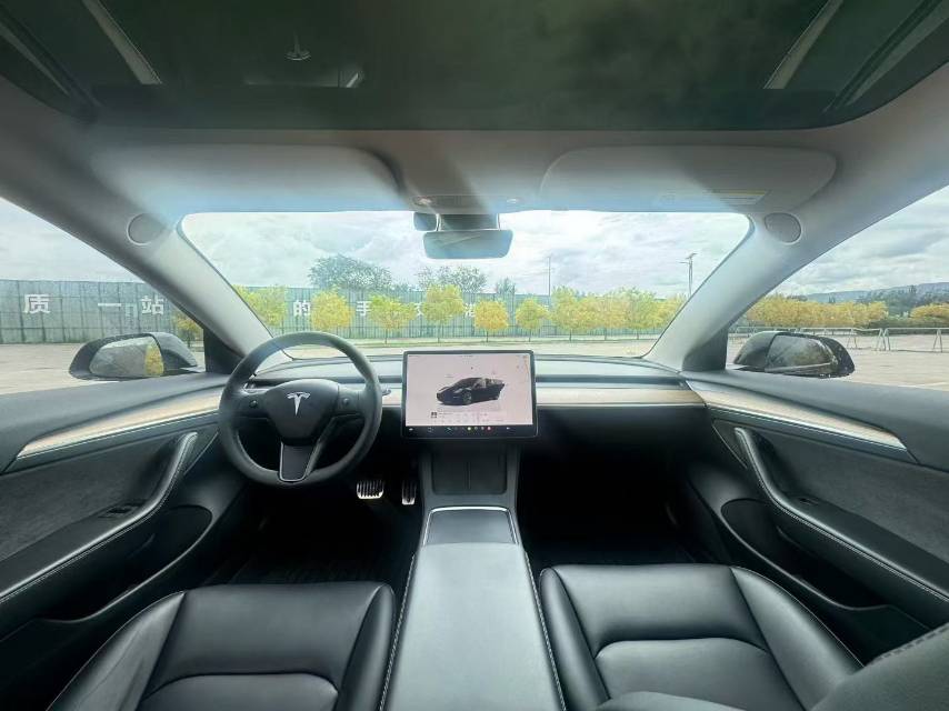 Tesla Model 3 2023 car image #6