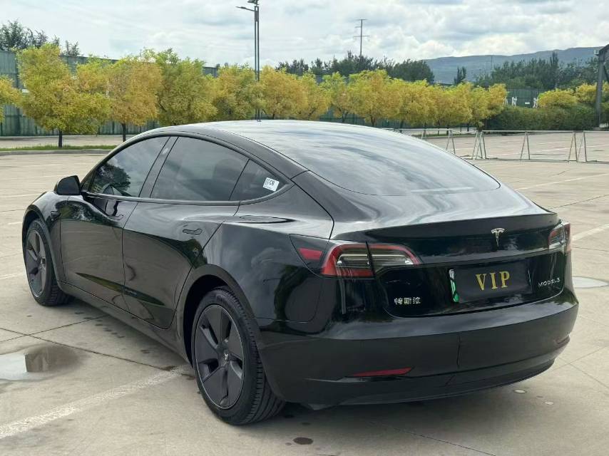 Tesla Model 3 2023 car image #8