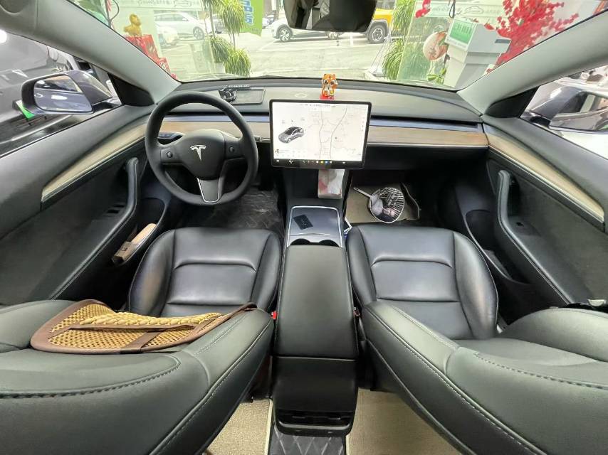 Tesla Model 3 2021 car image #8