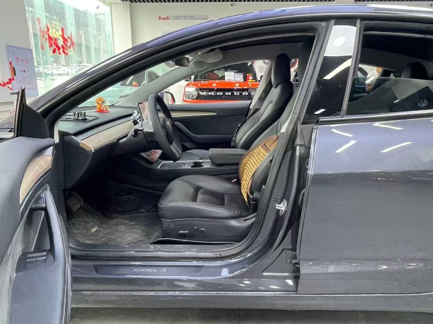 Tesla Model 3 2021 car image #6