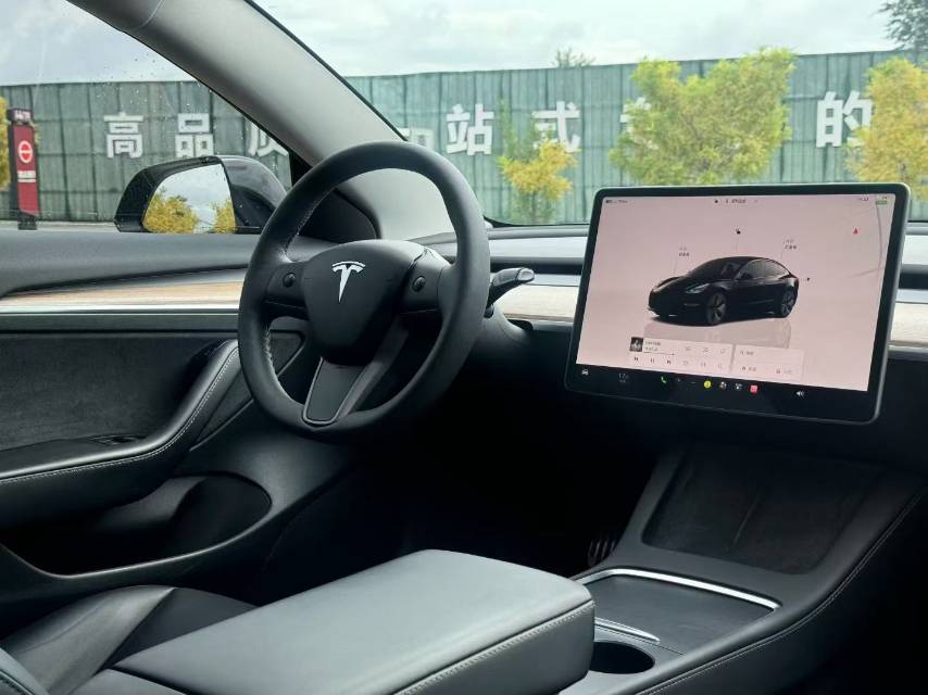 Tesla Model 3 2023 car image #7