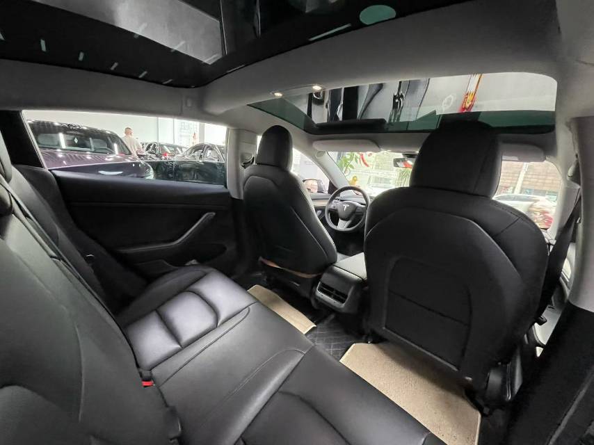Tesla Model 3 2021 car image #9