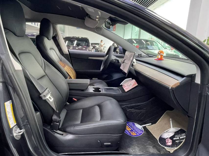 Tesla Model 3 2021 car image #10