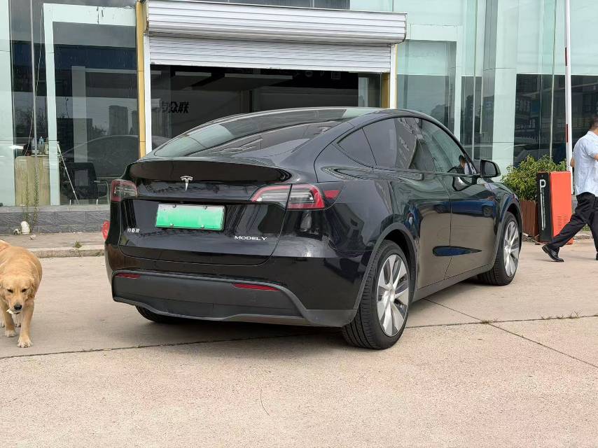Tesla Model Y 2023 car image #4