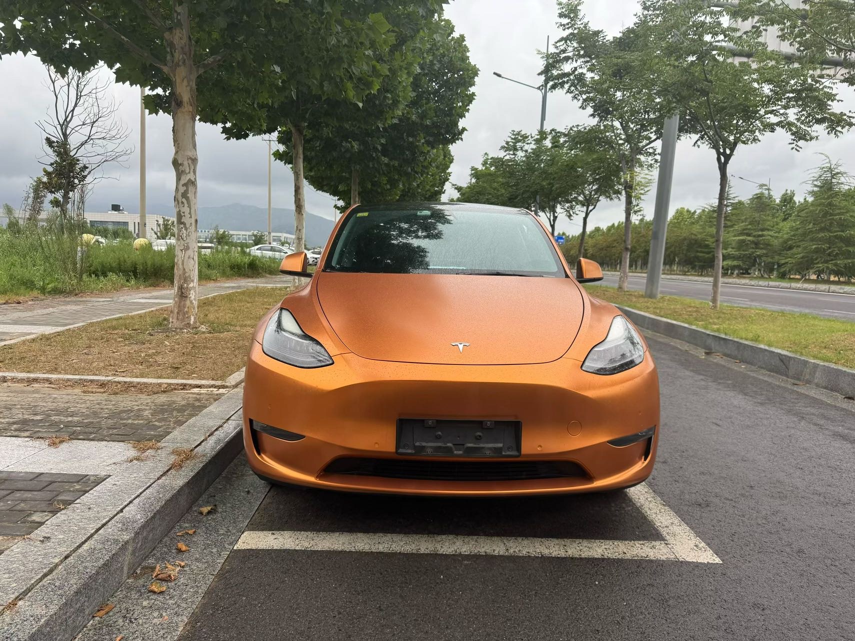 Tesla Model Y 2021 car image #4