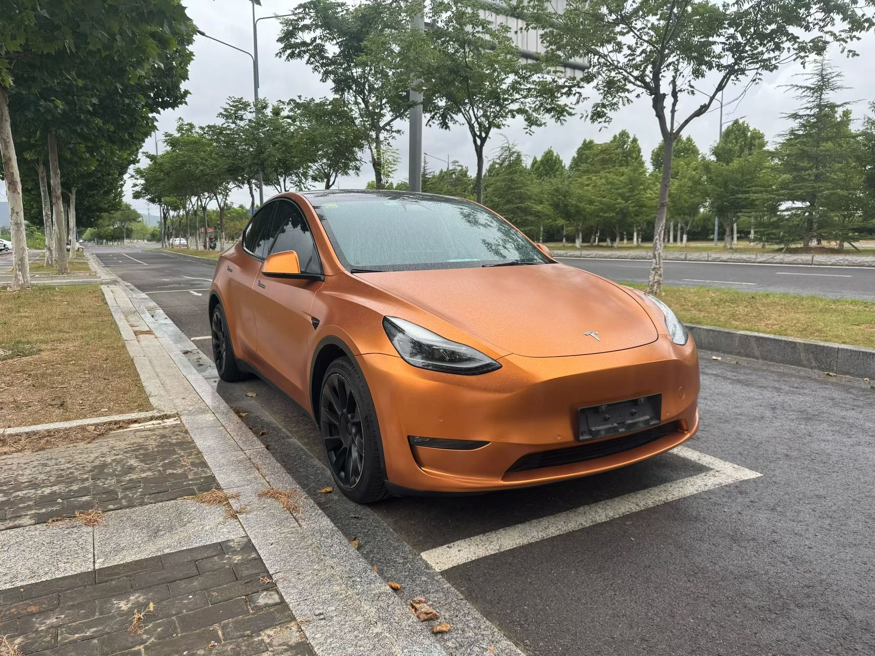 Tesla Model Y 2021 car image #5