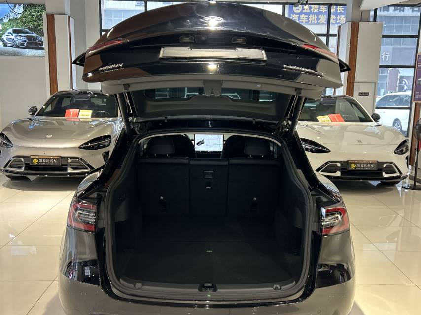 Tesla Model Y 2021 #10 Tesla Model Y 2021 car image #10