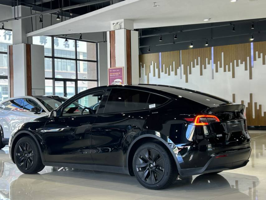Tesla Model Y 2021 #11 Tesla Model Y 2021 car image #11