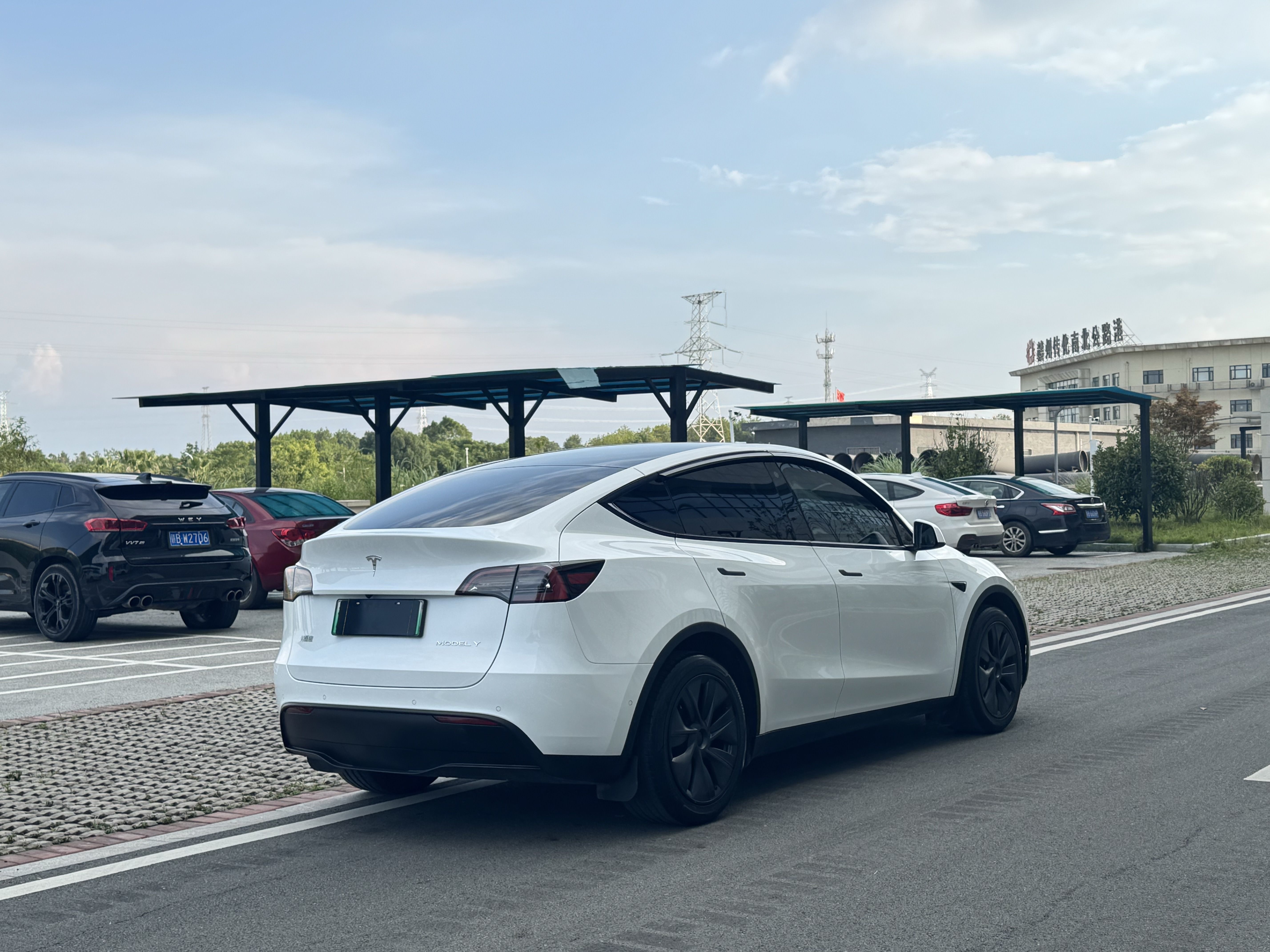 Tesla Model Y 2023 #6 Tesla Model Y 2023 car image #6