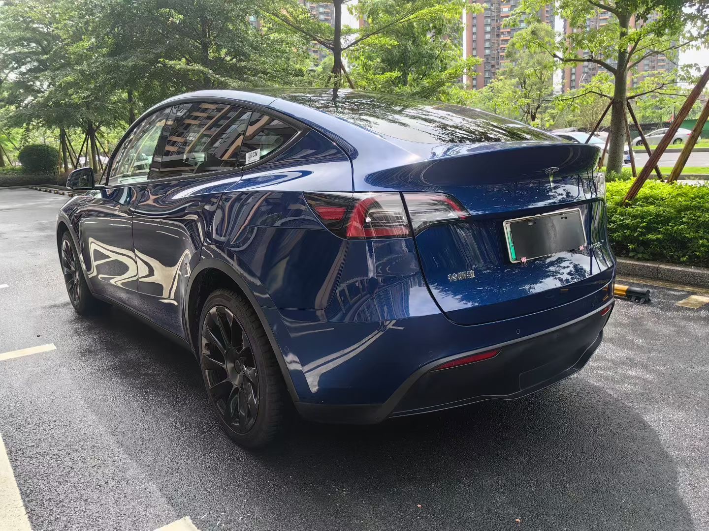 2021 #8 2021 car image #8