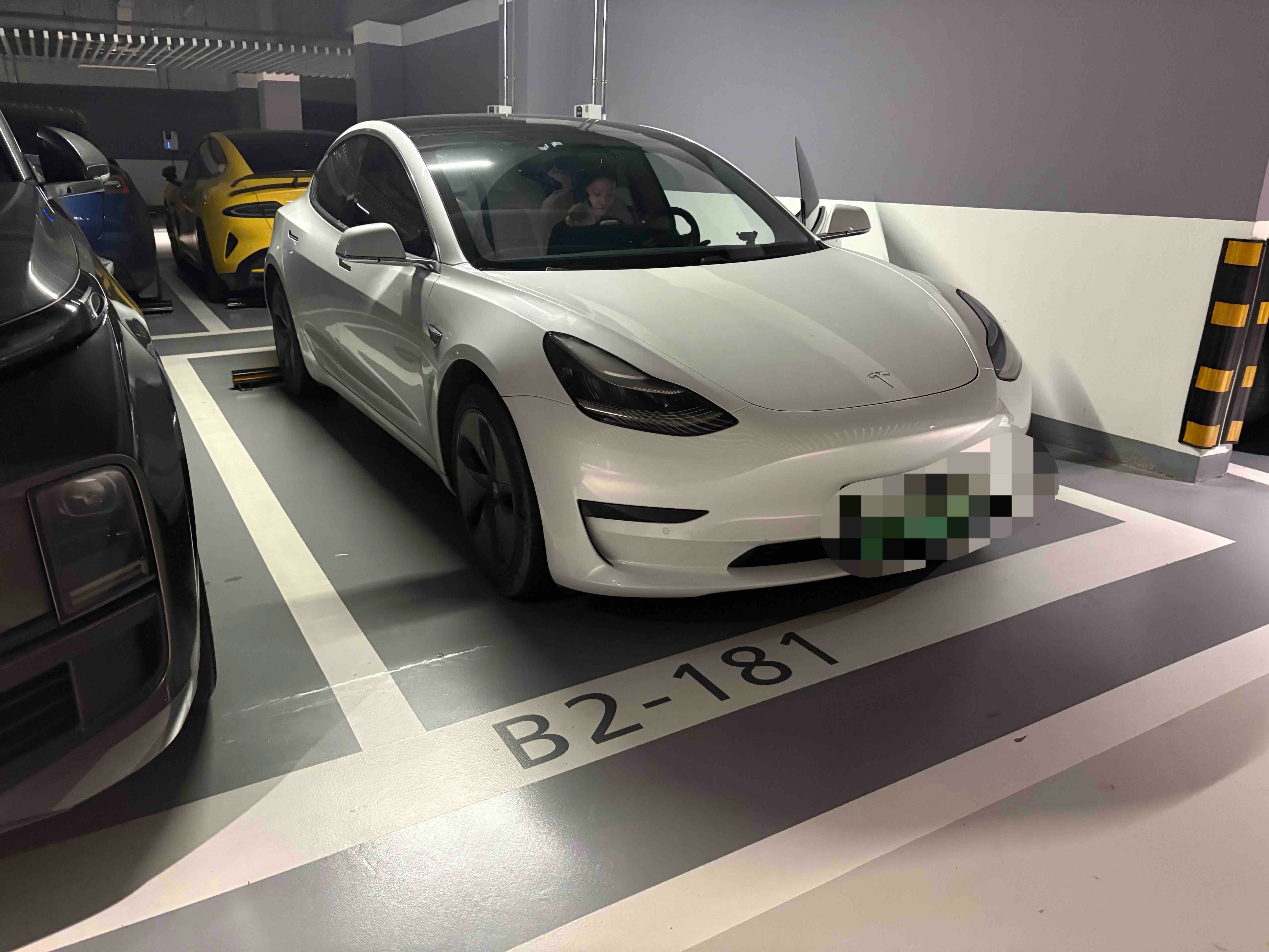 Tesla Model 3 2020 car image #12