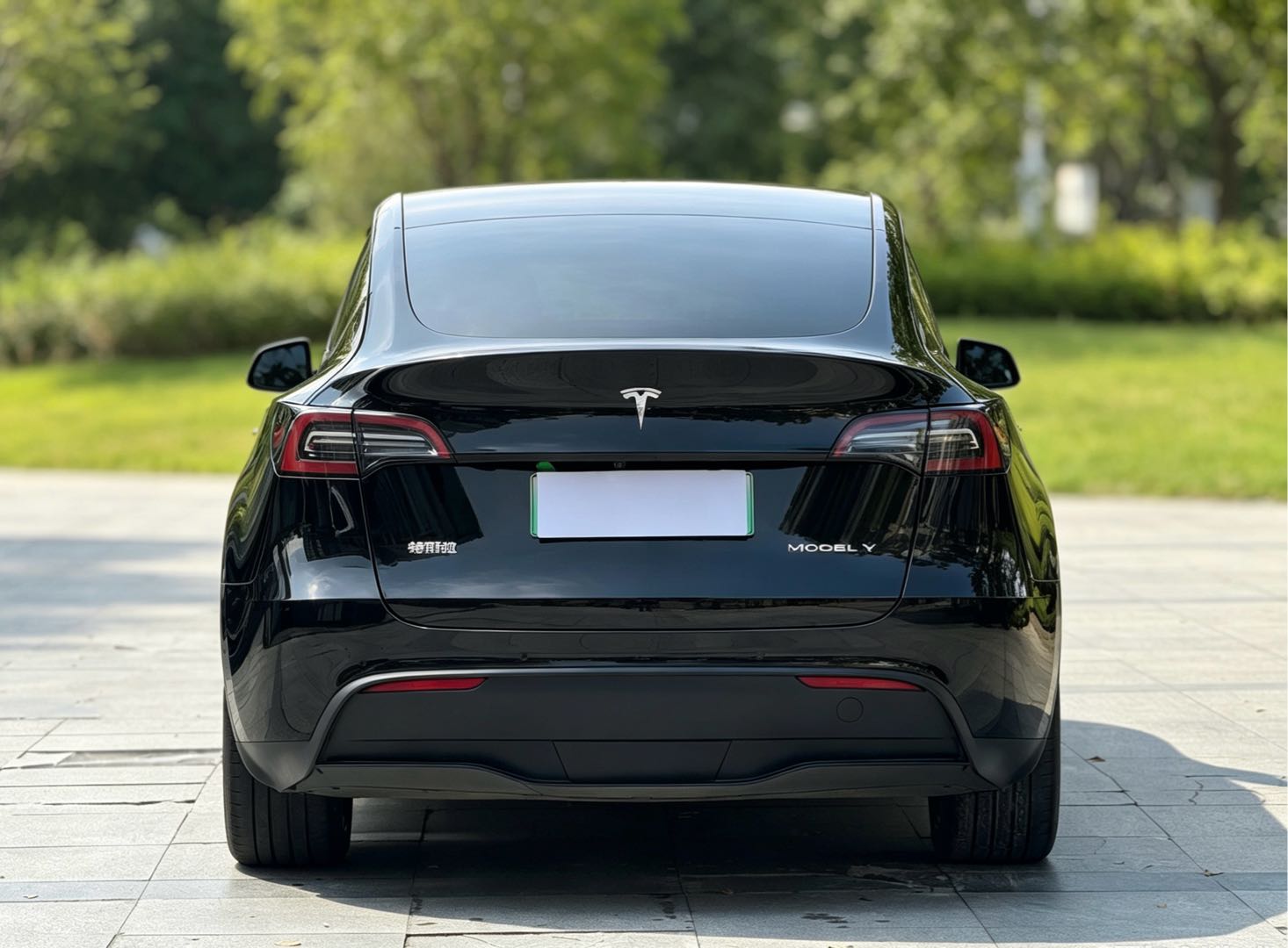 Tesla Model Y 2023 #7 Tesla Model Y 2023 car image #7