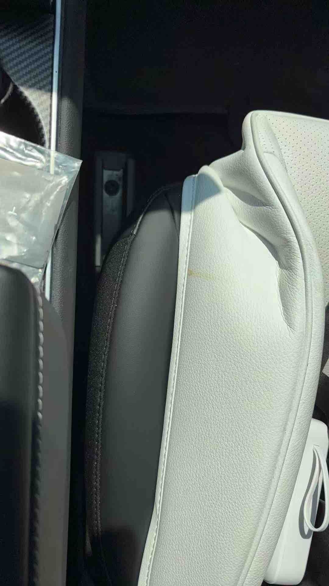 Tesla Model 3 2020 car image #18