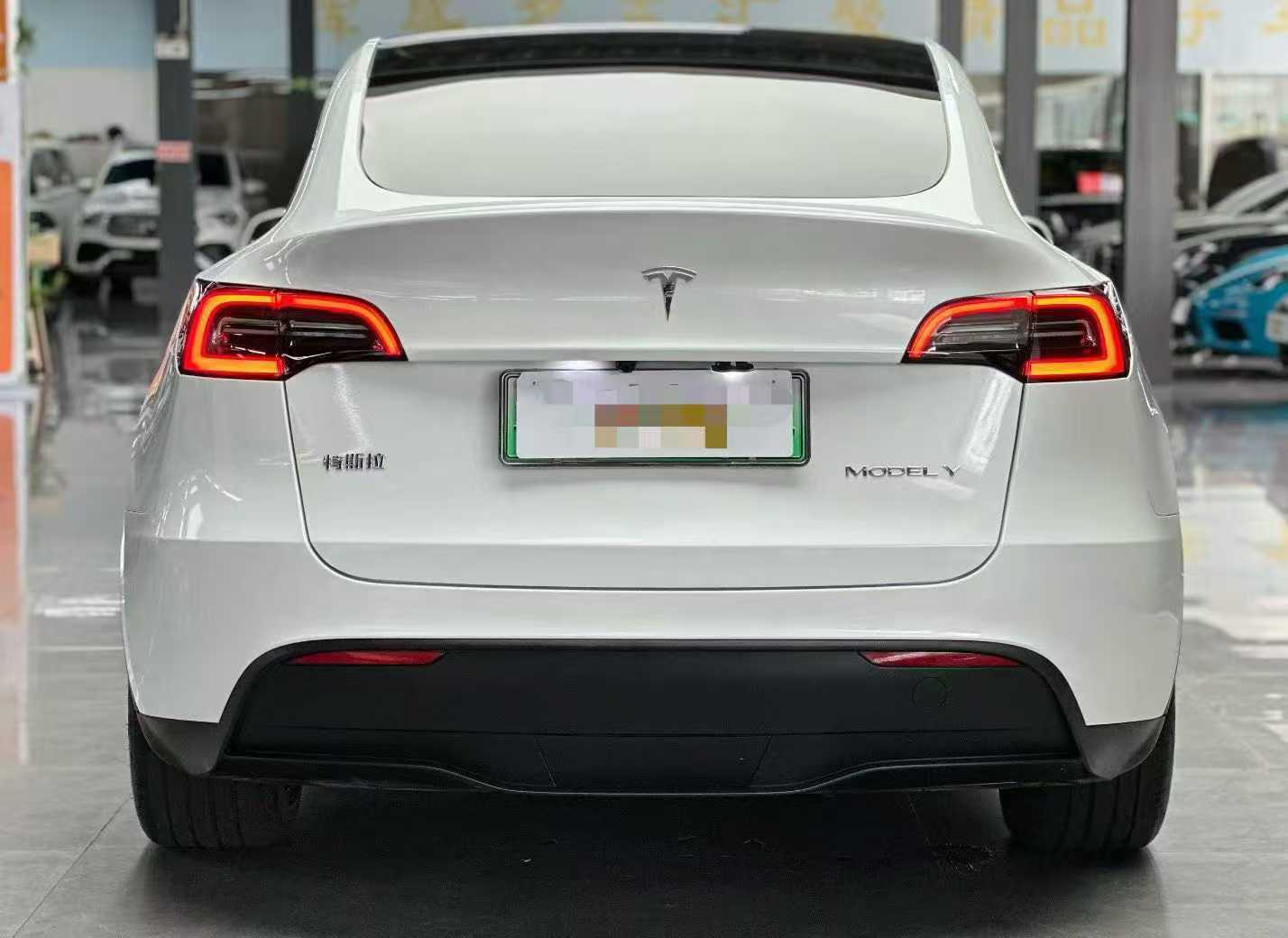 Tesla Model Y 2024 car image #10