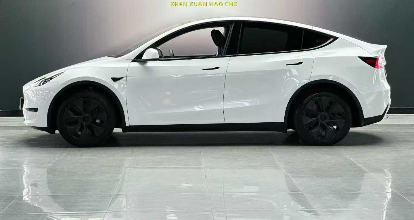 Tesla Model Y 2024 car image #9