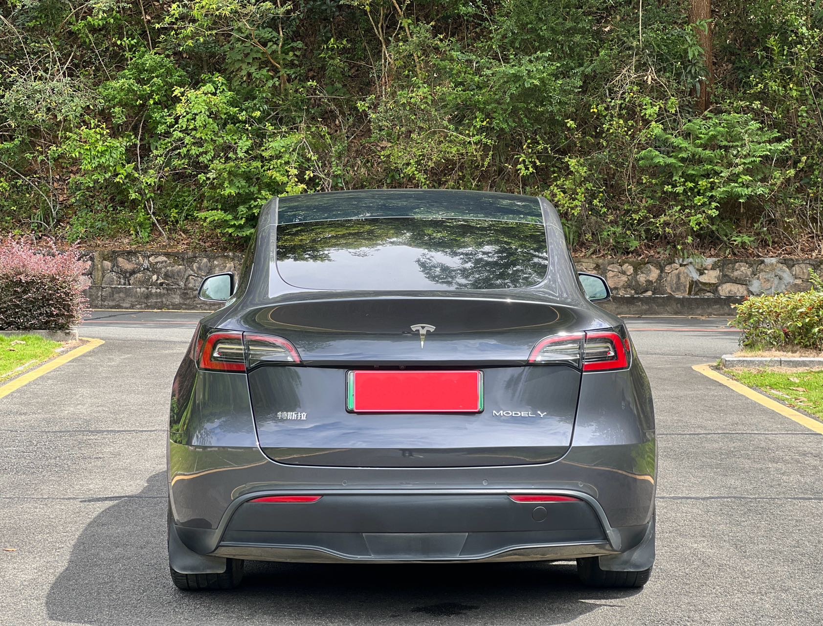 Tesla Model Y 2021 car image #10