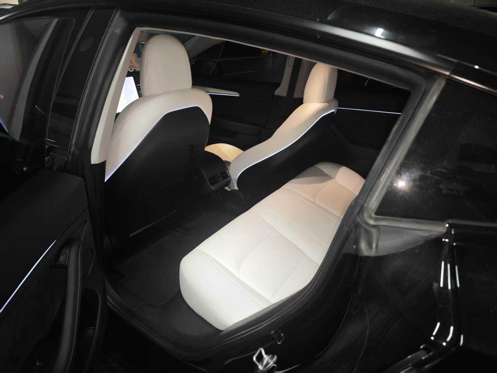 Tesla Model 3 2021 car image #5