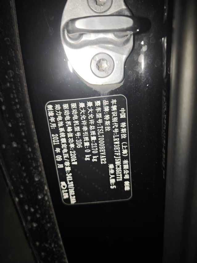 Tesla Model 3 2021 car image #3