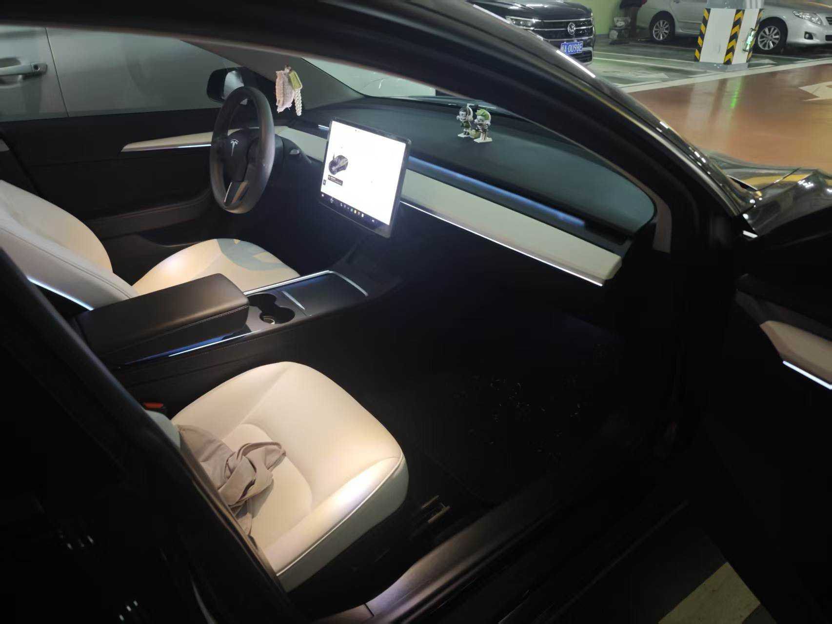 Tesla Model 3 2021 car image #6