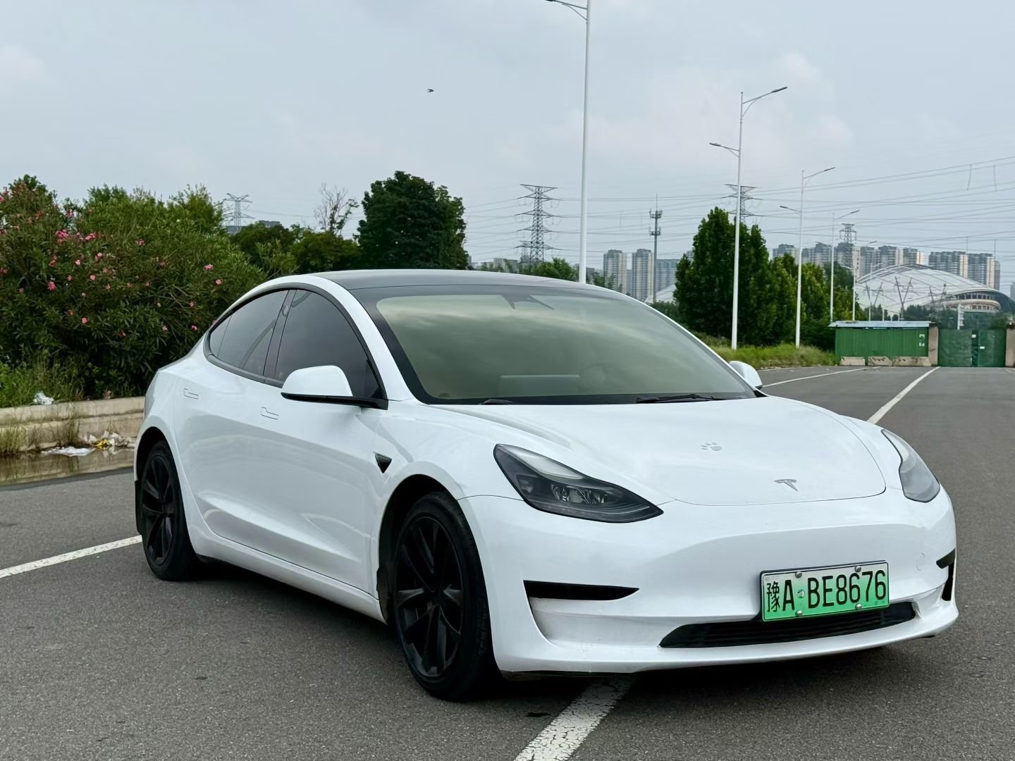 Tesla Model 3 2021 car image #5