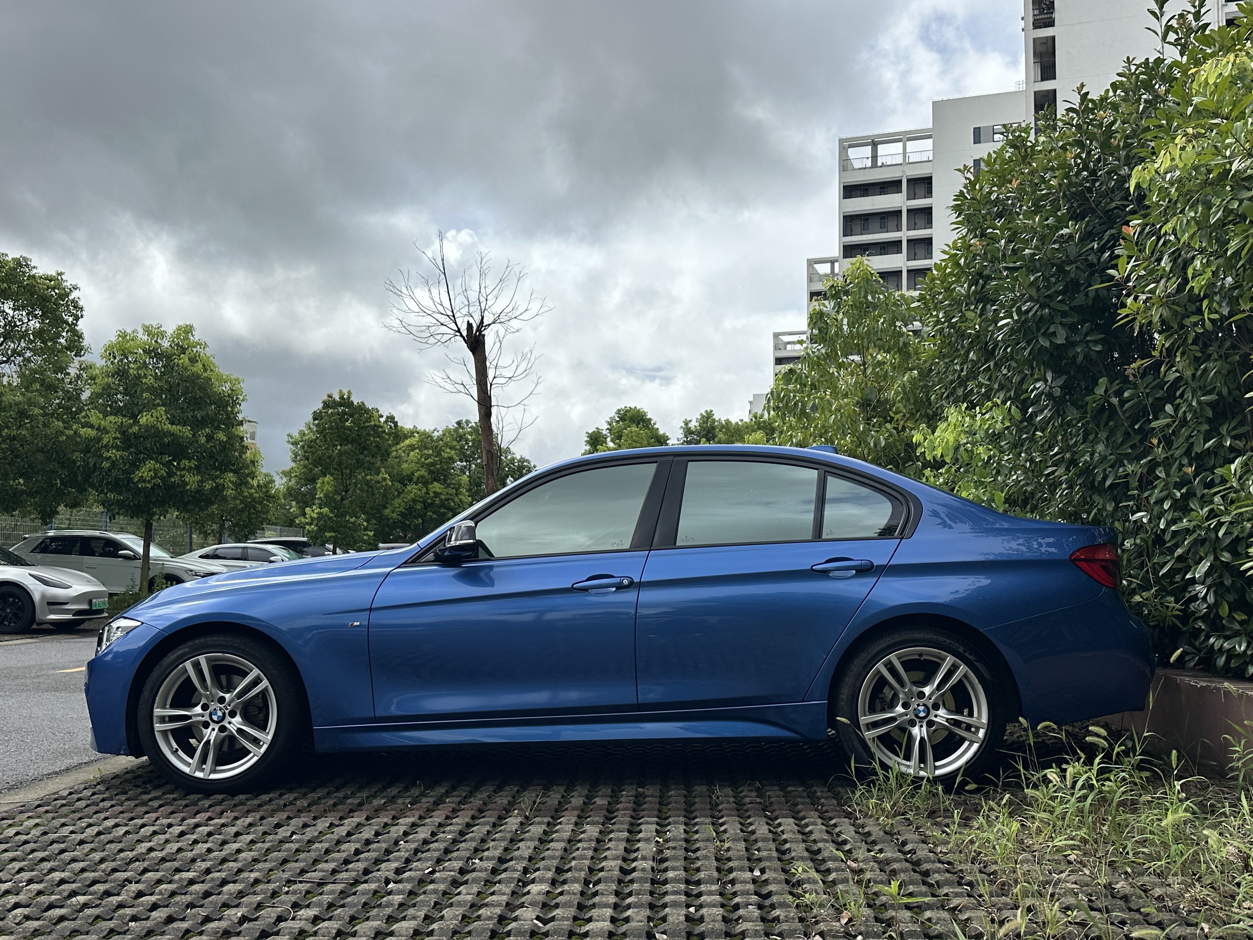 BMW 3 Series 2017 #6 BMW 3 Series 2017 car image #6