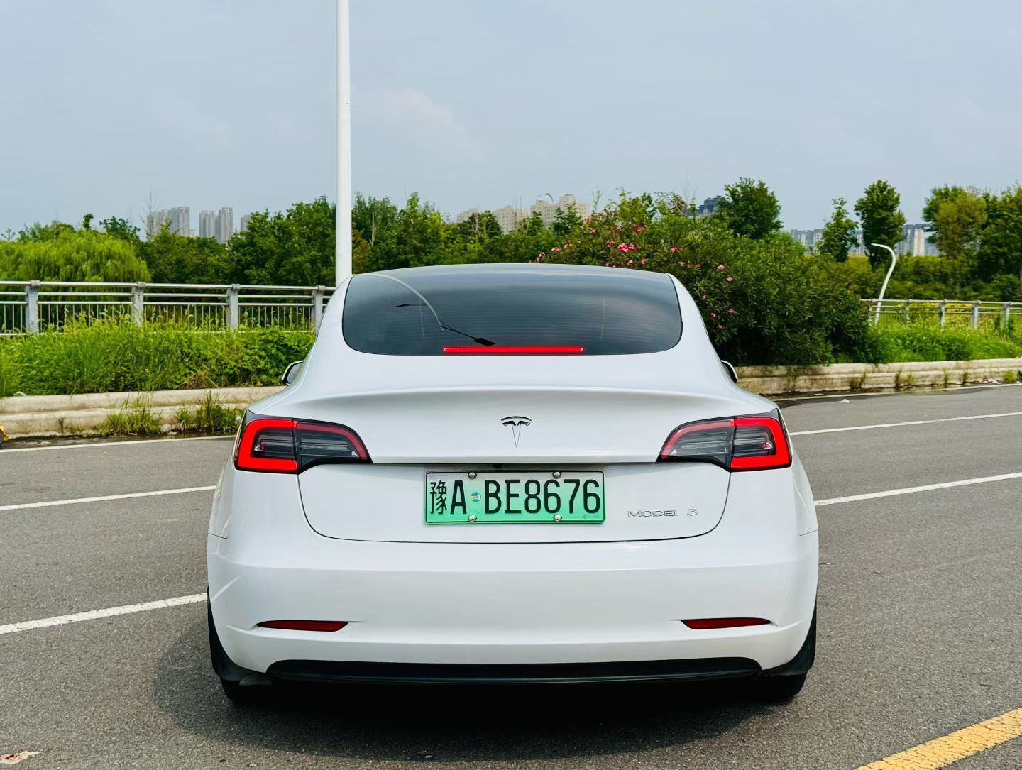 Tesla Model 3 2021 car image #10