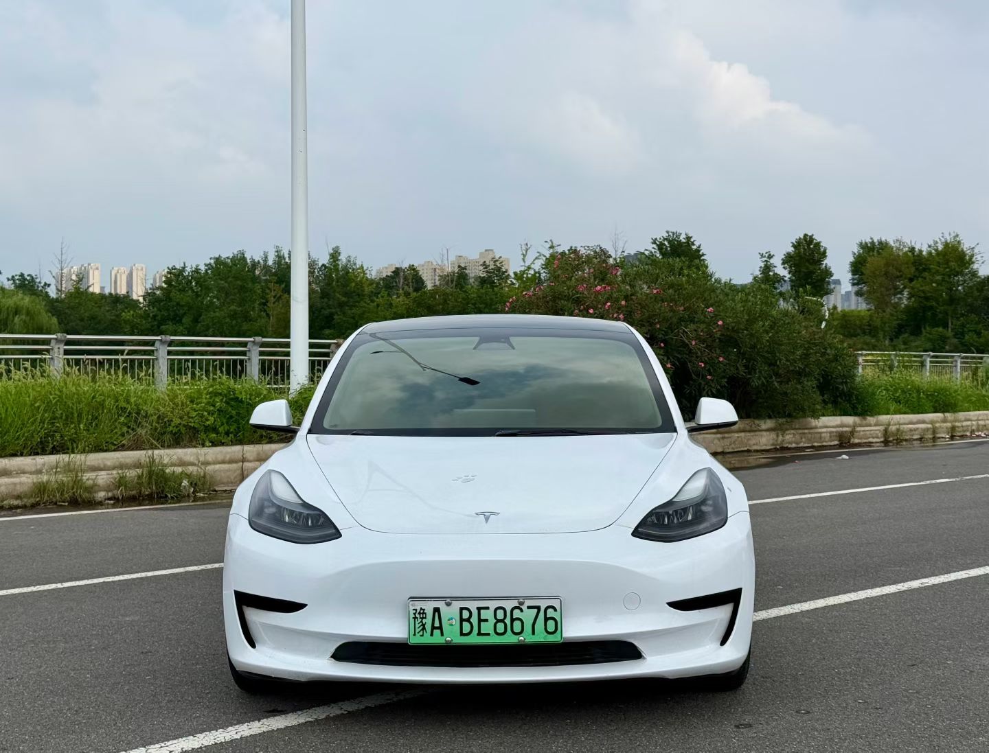 Tesla Model 3 2021 car image #4