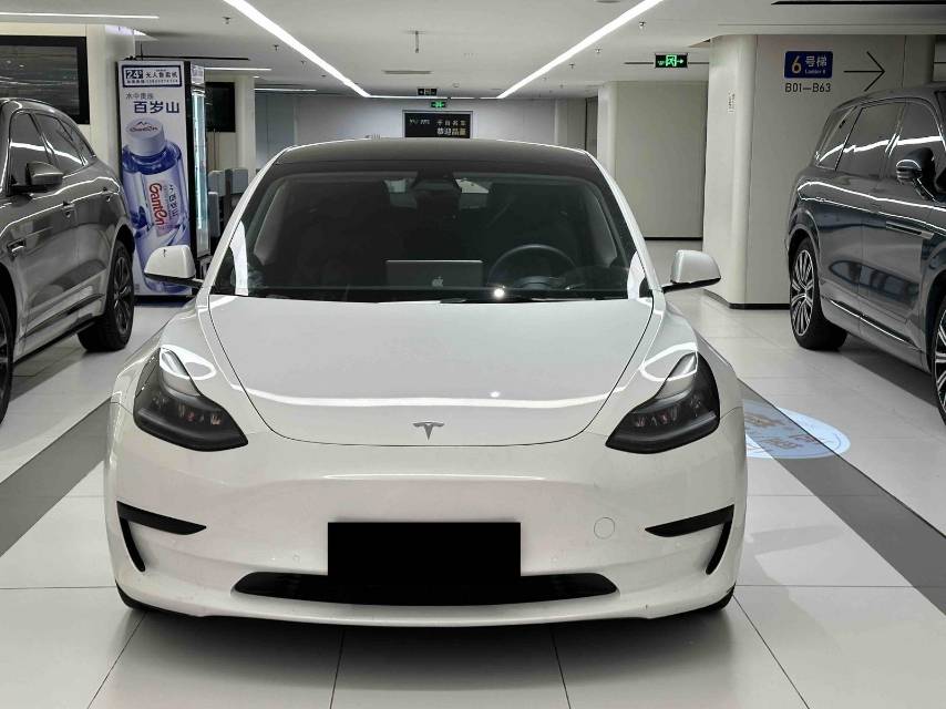 Tesla Model 3 2021 #8 Tesla Model 3 2021 car image #8