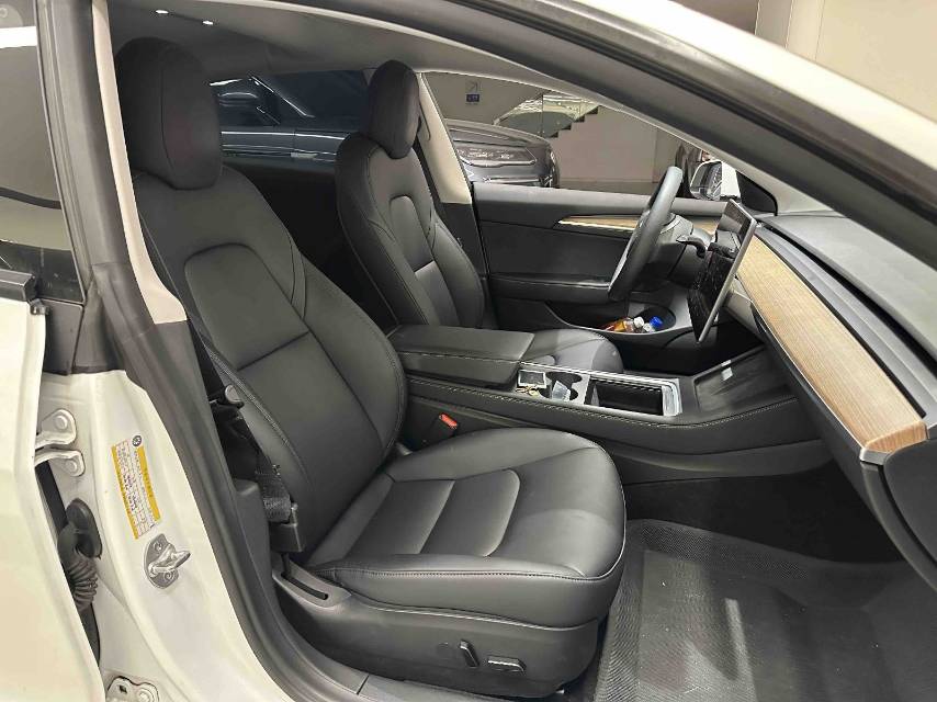 Tesla Model 3 2021 #7 Tesla Model 3 2021 car image #7