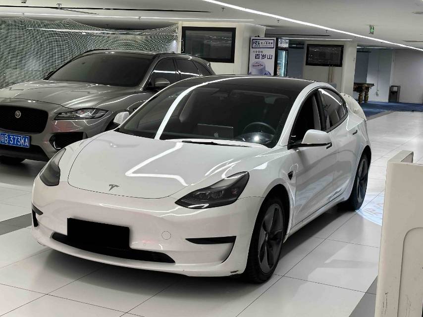 Tesla Model 3 2021 #2 Tesla Model 3 2021 car image #2
