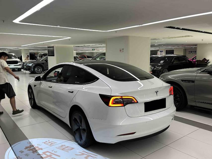 Tesla Model 3 2021 #4 Tesla Model 3 2021 car image #4