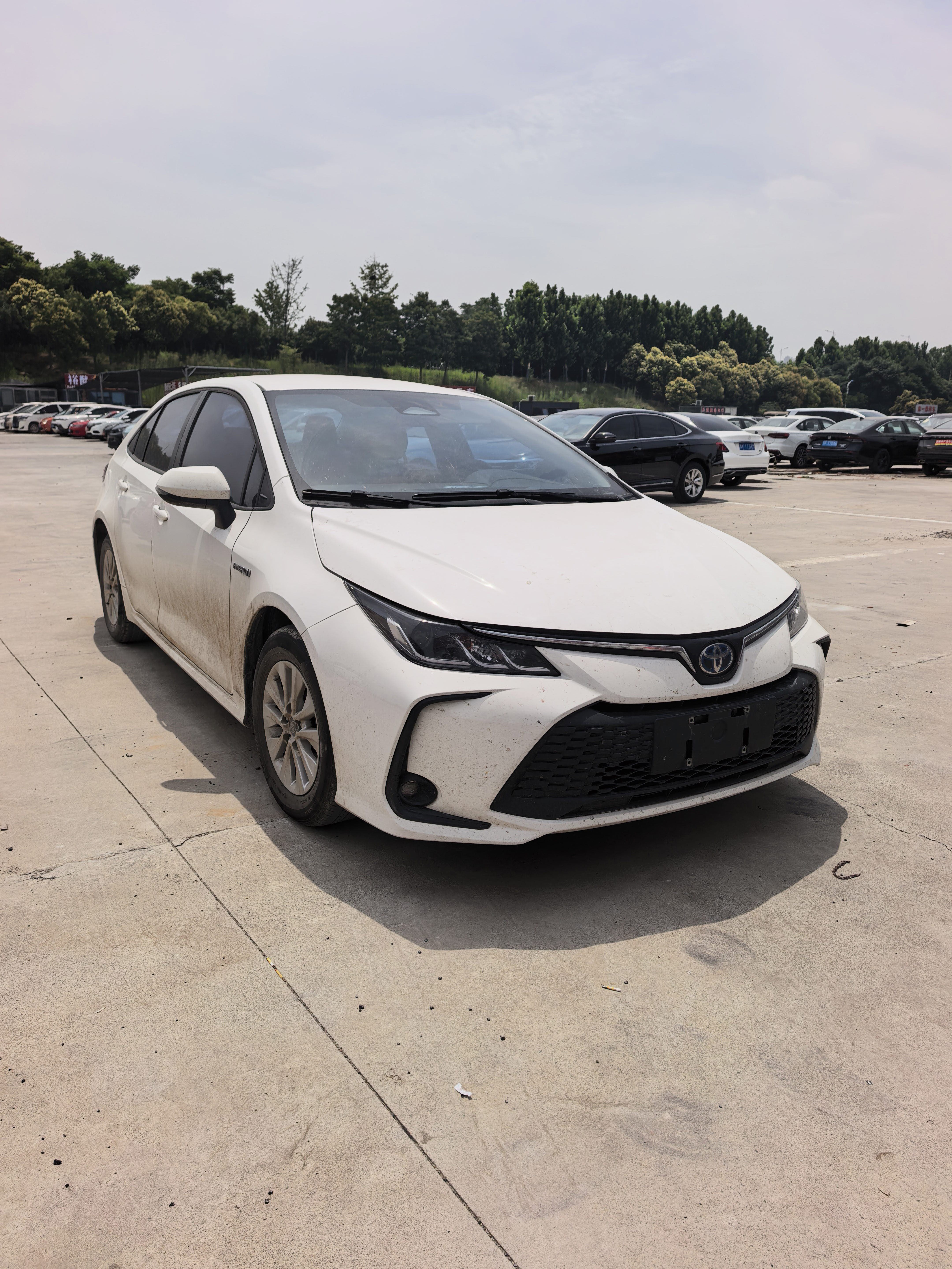 Toyota Corolla 2023 #6 Toyota Corolla 2023 car image #6