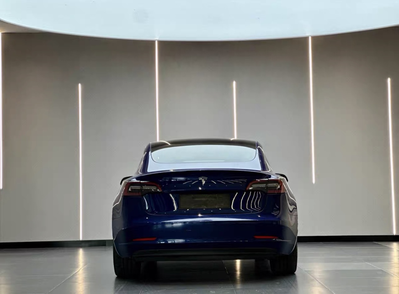 Tesla Model 3 2021 car image #10