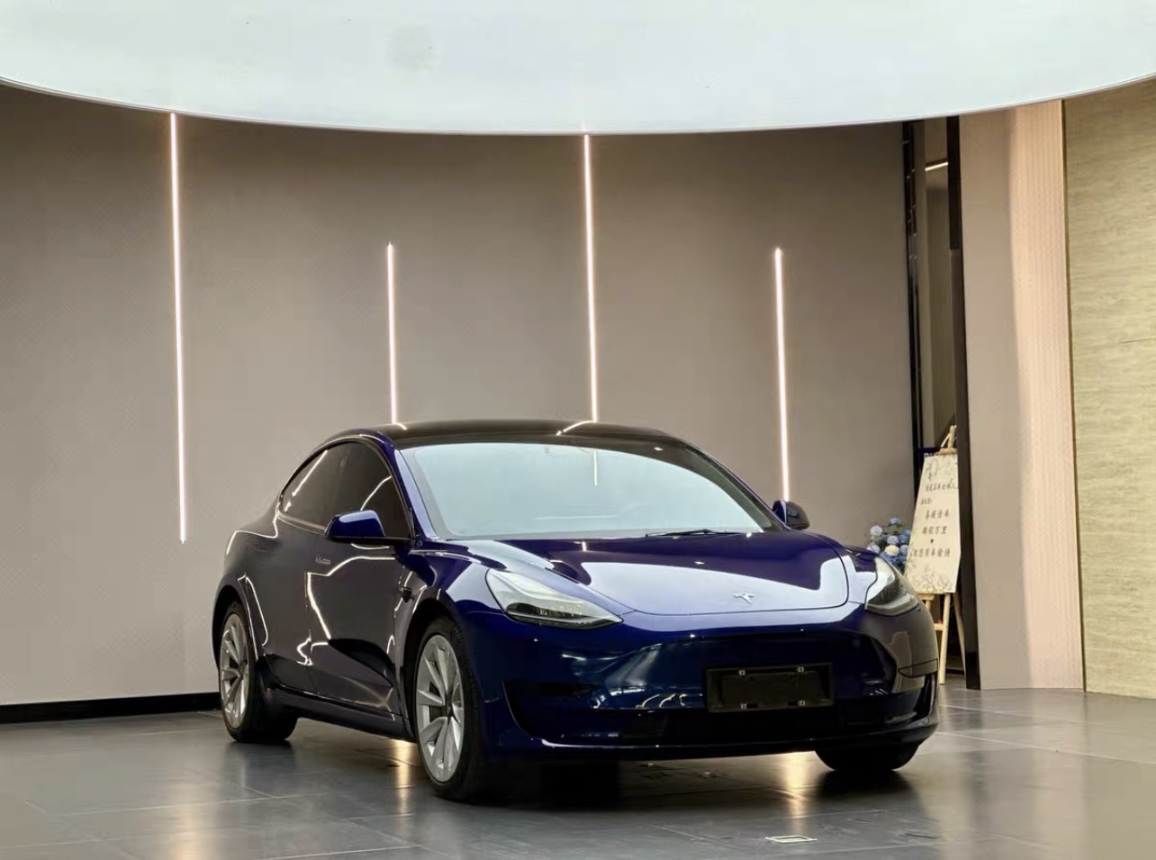 Tesla Model 3 2021 car image #5