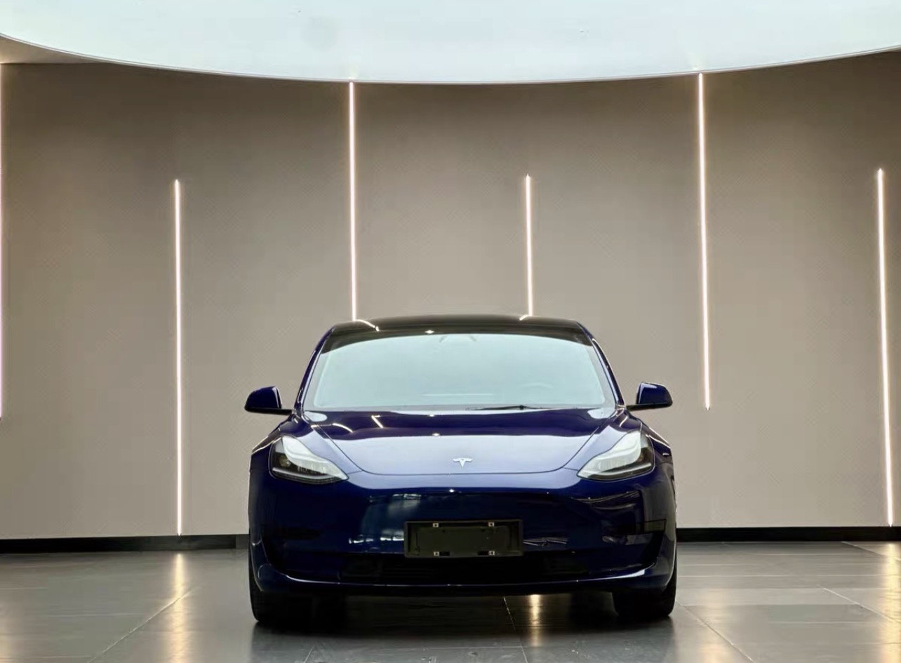 Tesla Model 3 2021 car image #4