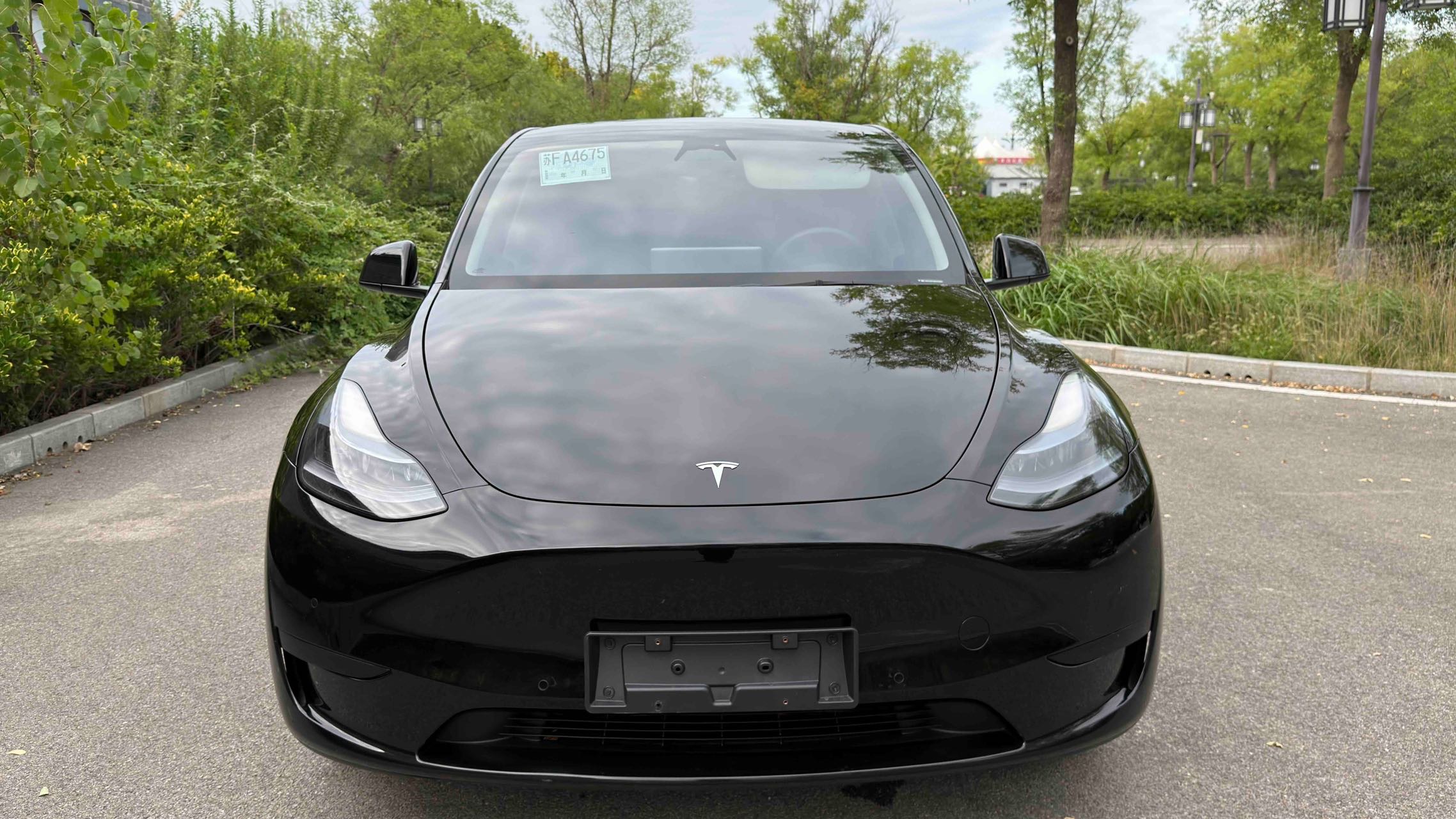 Tesla Model Y 2023 car image #4