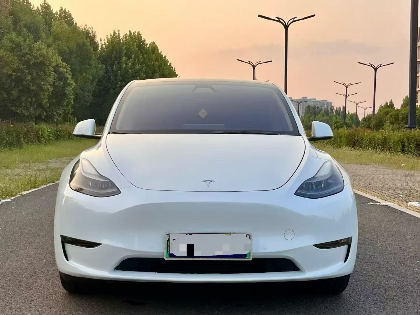 Tesla Model Y 2021 car image #11
