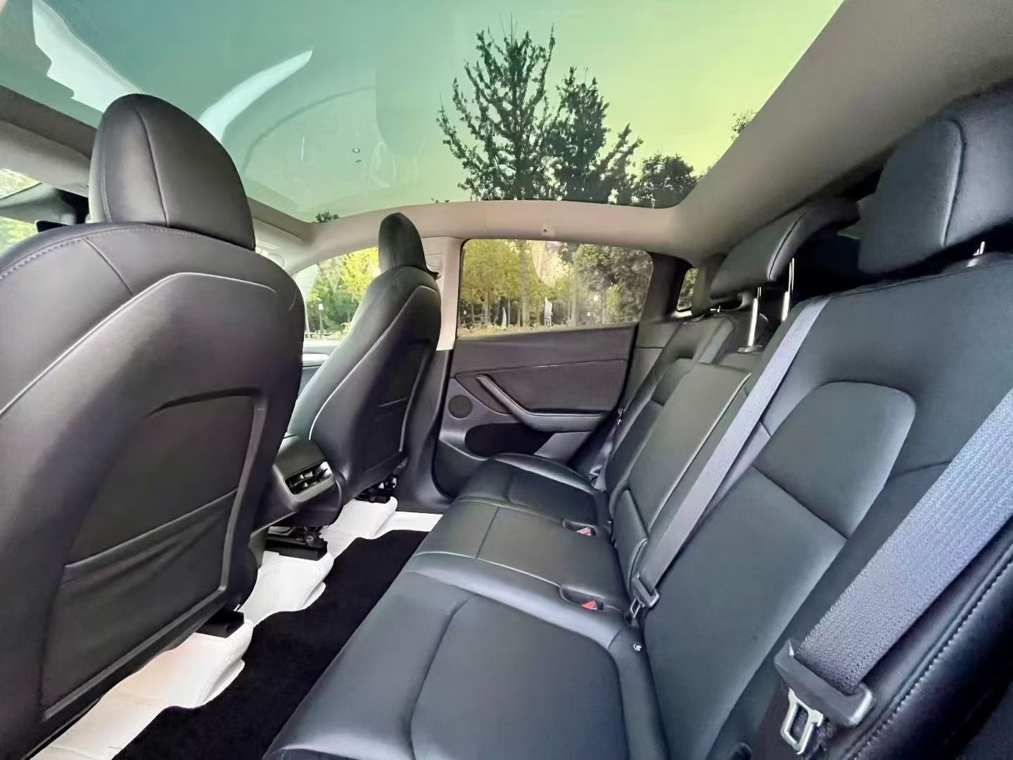 Tesla Model Y 2021 car image #6