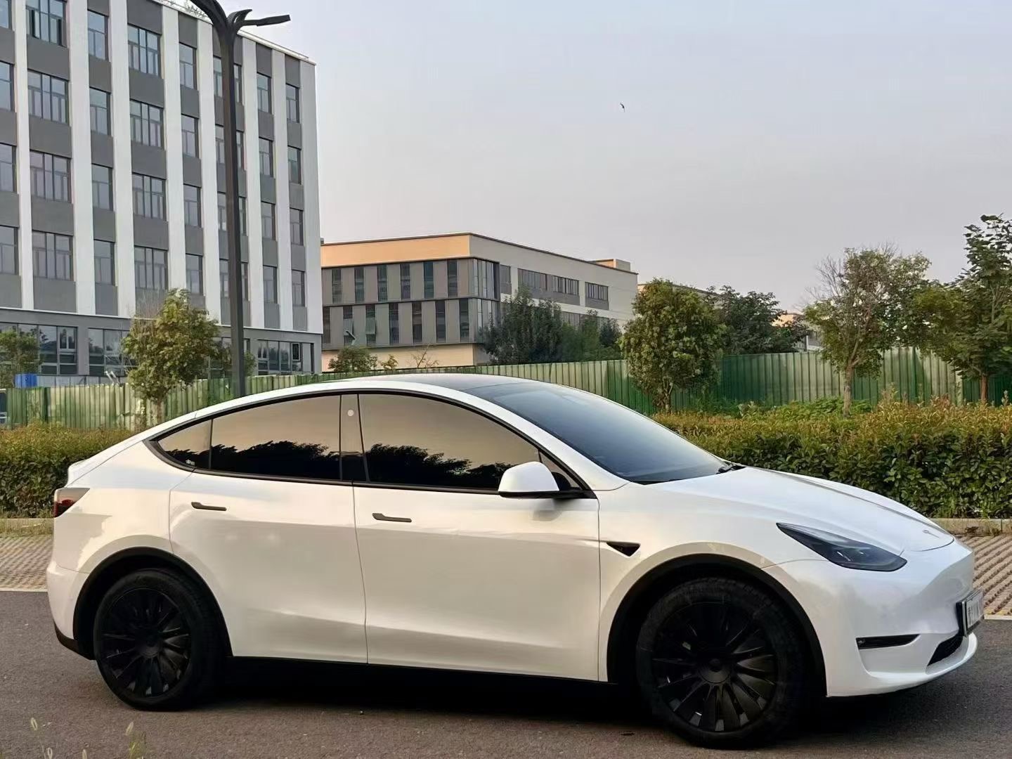 Tesla Model Y 2021 car image #4
