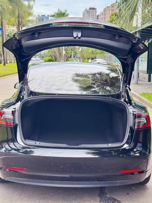 Tesla Model 3 2023 car image #6