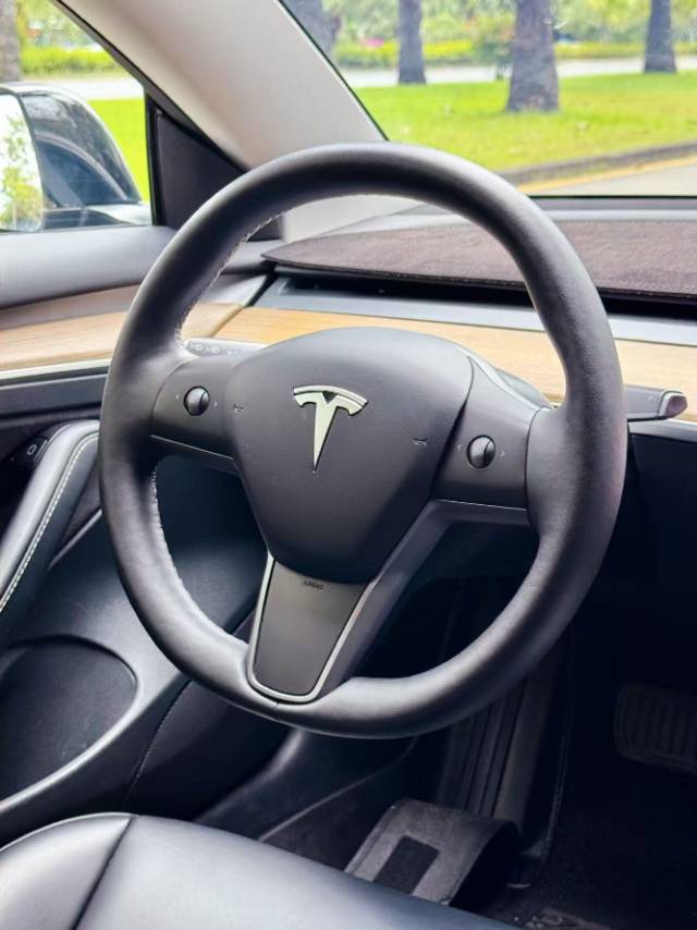 Tesla Model 3 2023 car image #8