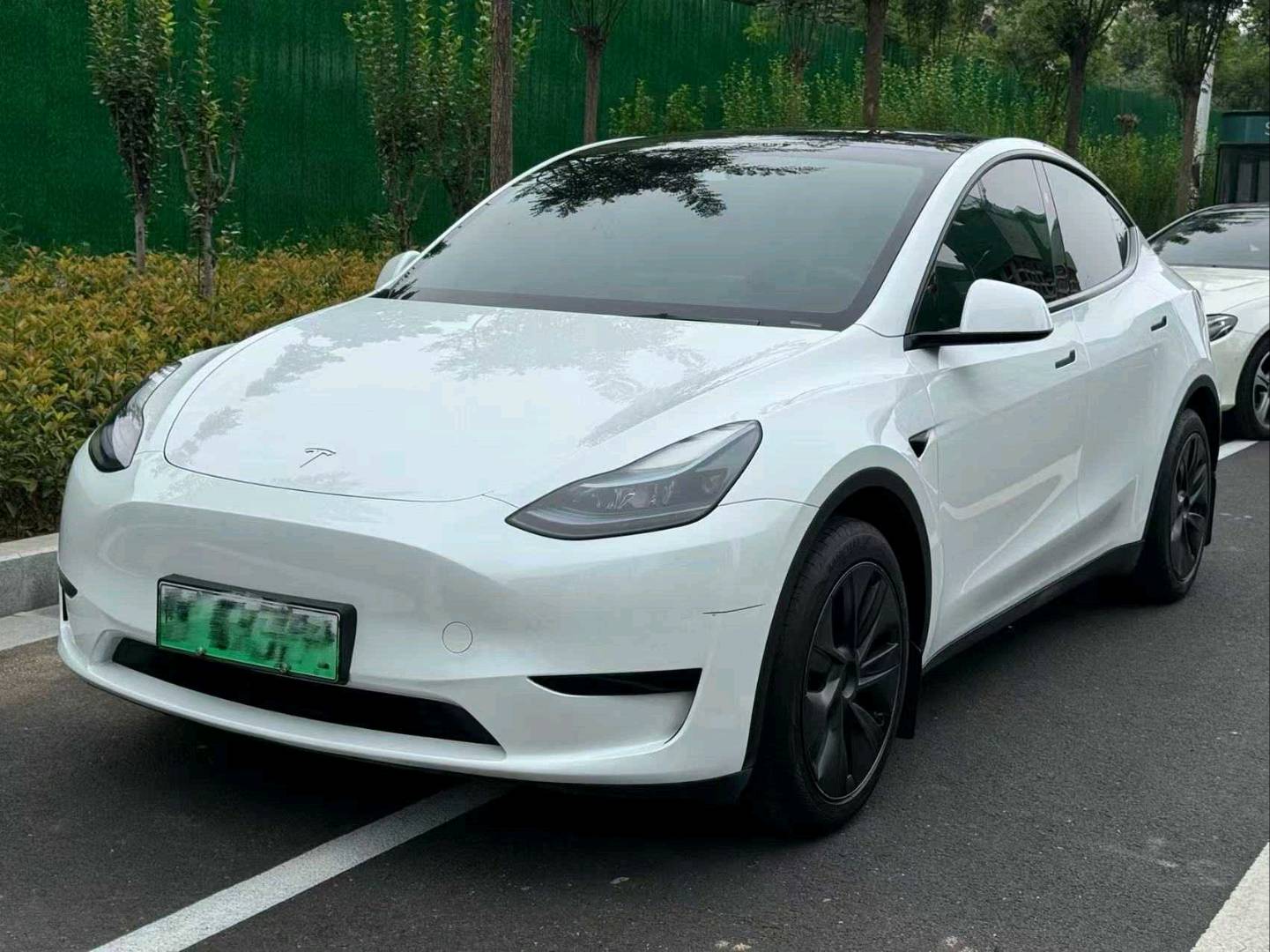 Tesla Model Y 2024 immagine di auto #2