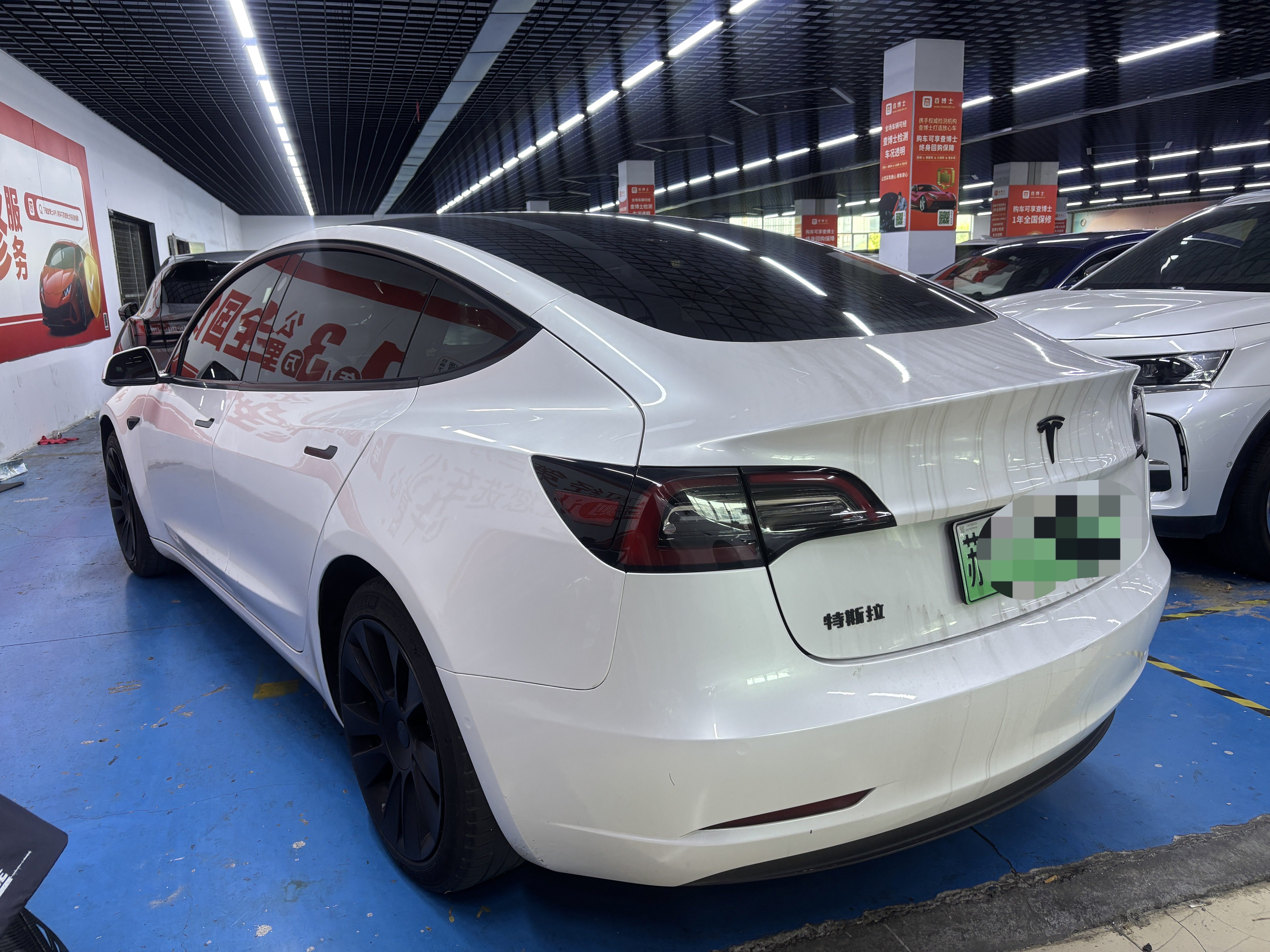 Tesla Model 3 2021 #8 Tesla Model 3 2021 car image #8