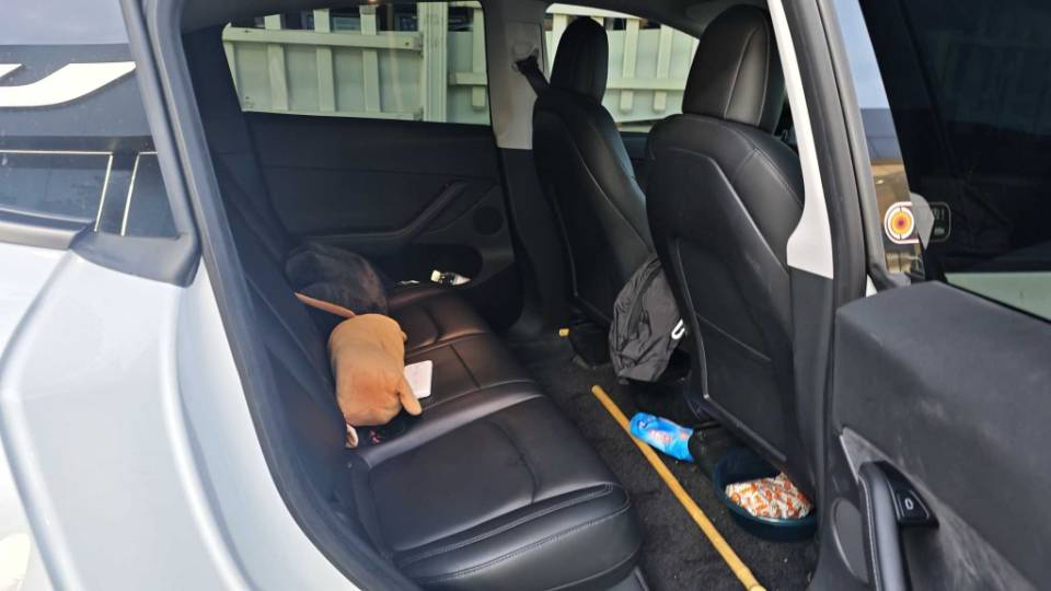 Tesla Model Y 2021 #4 Tesla Model Y 2021 car image #4
