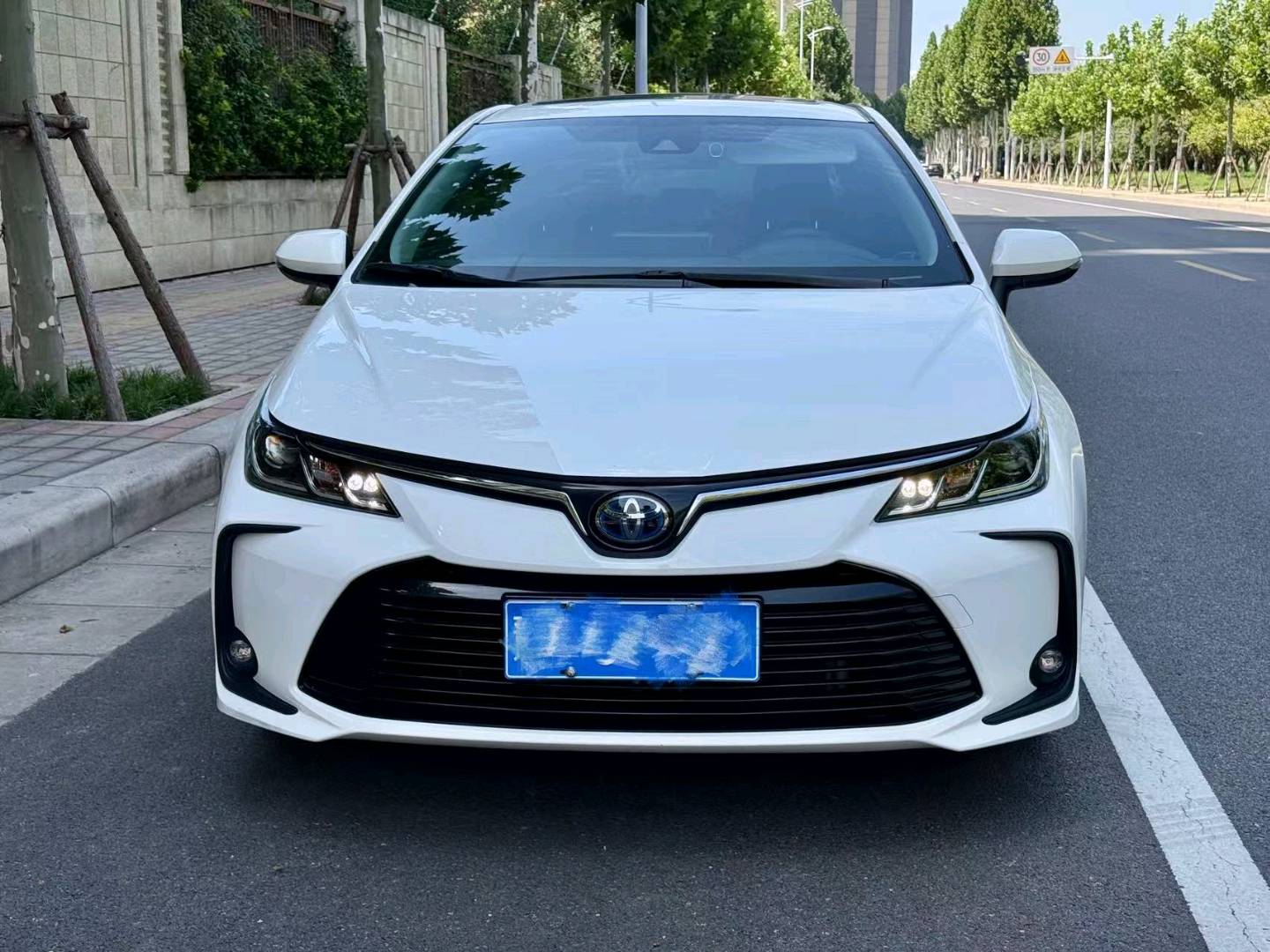 Toyota Corolla 2021 #8 Toyota Corolla 2021 car image #8