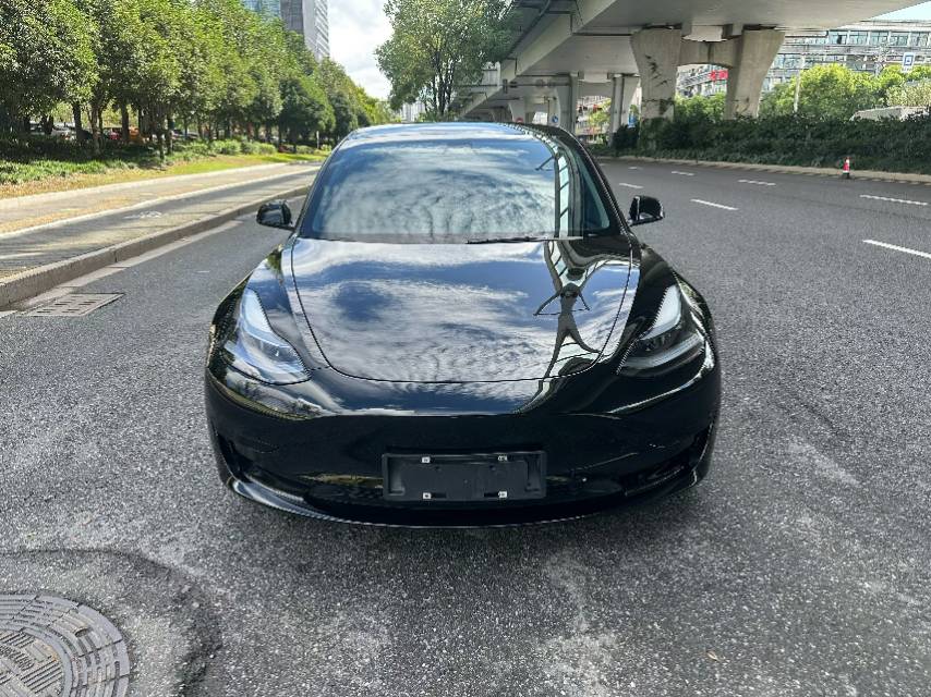 Tesla Model 3 2023 #4 Tesla Model 3 2023 car image #4