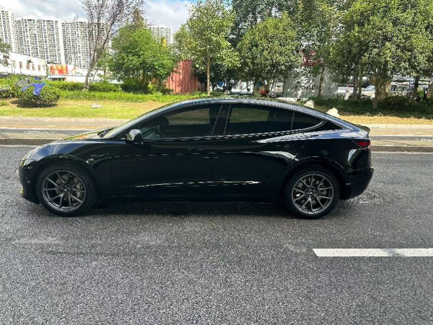 Tesla Model 3 2023 #5 Tesla Model 3 2023 car image #5